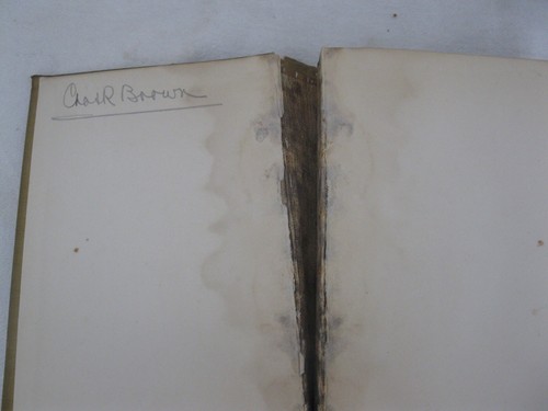 The White Peril In The Far East by Sidney L. Gulick 1905 - Picture 9 of 11