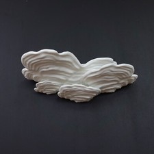 Wall Shelf "OSTREA FUNGUS" Organic Design, Decorative and Functional Wall Decor,