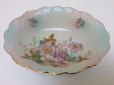 Bavaria Schumann Arzberg Germany Wild Rose Blush Oval Vegetable Serving ...