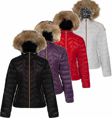 Dare2b Endow Mikroarmth Damenjacke isoliert