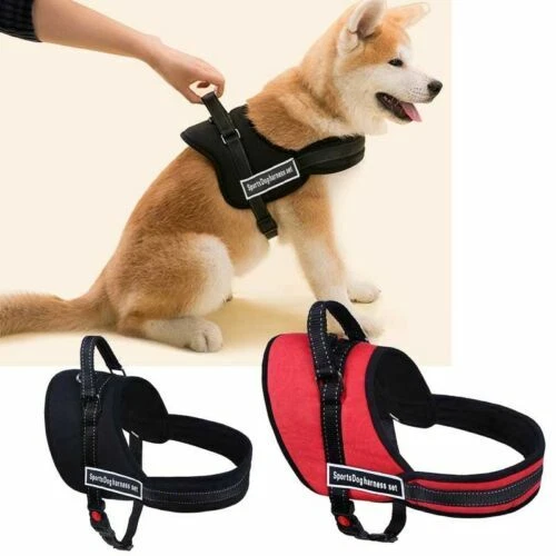 Harness Adjustable Dog Collars