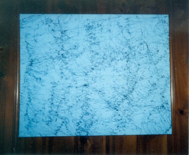 Abstract  Painting { Black Lightning }