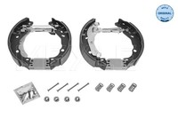 Bremsbackensatz Dacia Duster/Logan/Sandero 04-