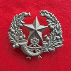 WW1 Cameronians Scottish Rifles Regiment Glengarry / Cap Badge British Army