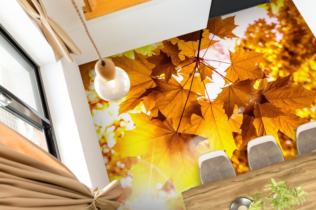 3D Maple Leaf SKE1872 Floor WallPaper Print Decal Epoxy Floor Deco