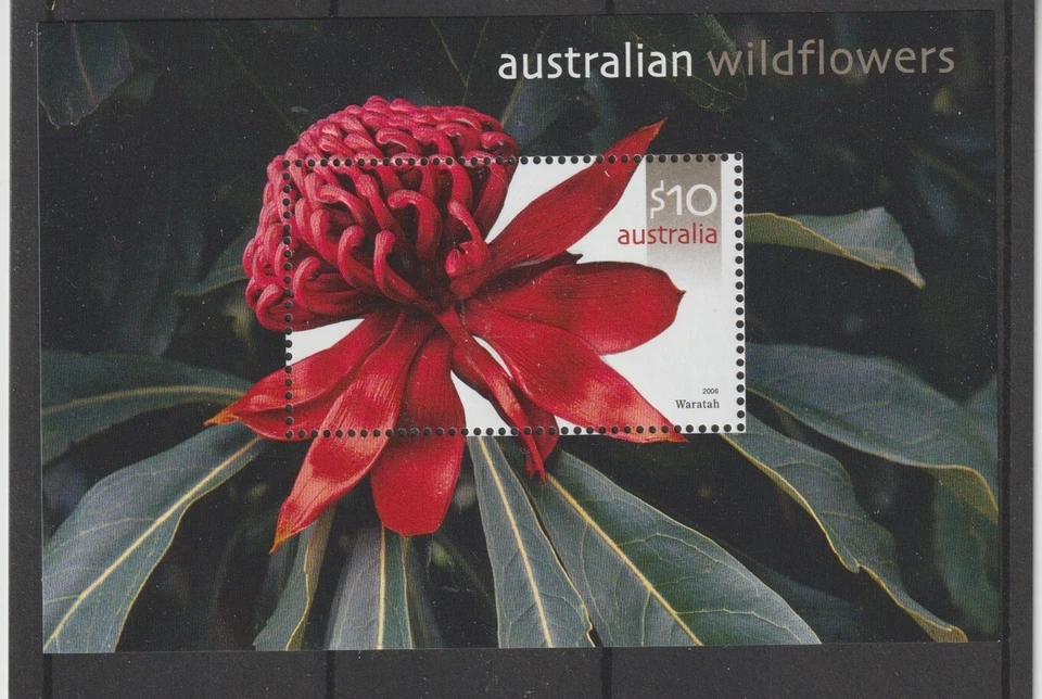 2006 Australia Flora Flores en Relieve 1Bf N° 61 MNH MF124275 - Imagen 1 de 1