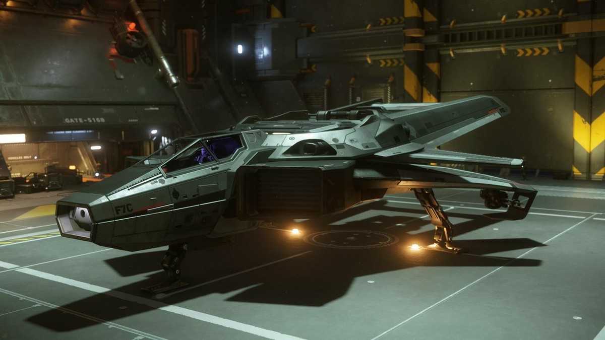 Star Citizen - F7C Hornet Mk I (LTI or 10y Insurance) - Ship | eBay