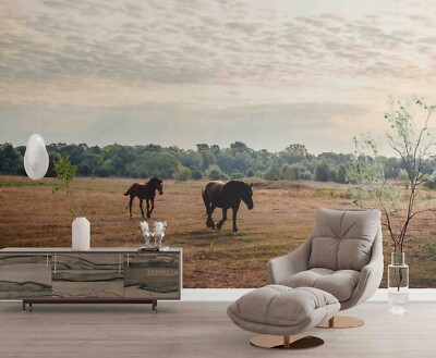 3D Horse Grassland Sky Landscape Wallpaper Wall Murals Removable Wallpaper