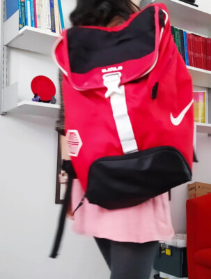 nike lebron max air ambassador 2.0