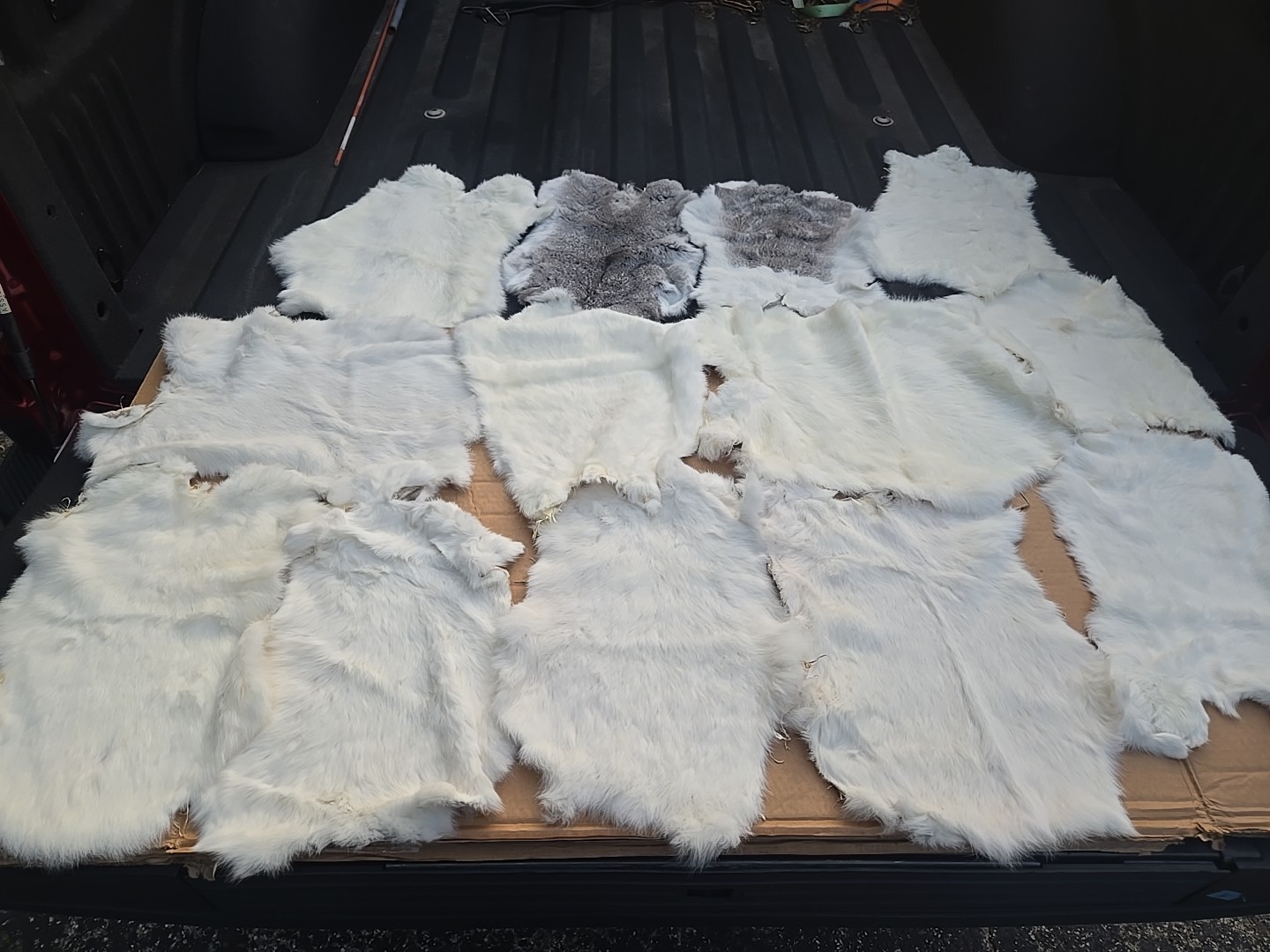 13pcs Real Rabbit Skin Tanned White  Fur Leather Hide Craft Garment Pelt