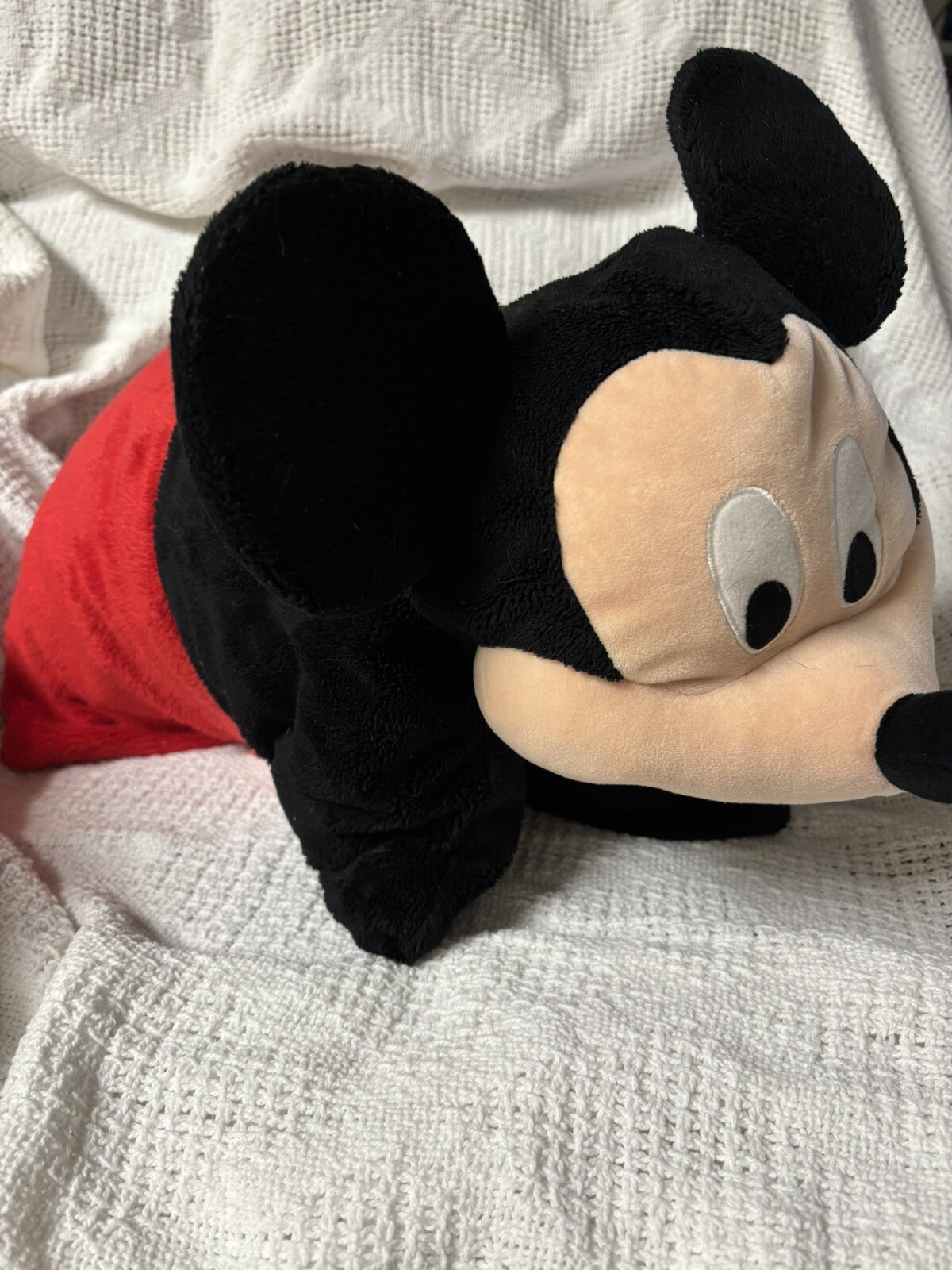 Disney Parks 20