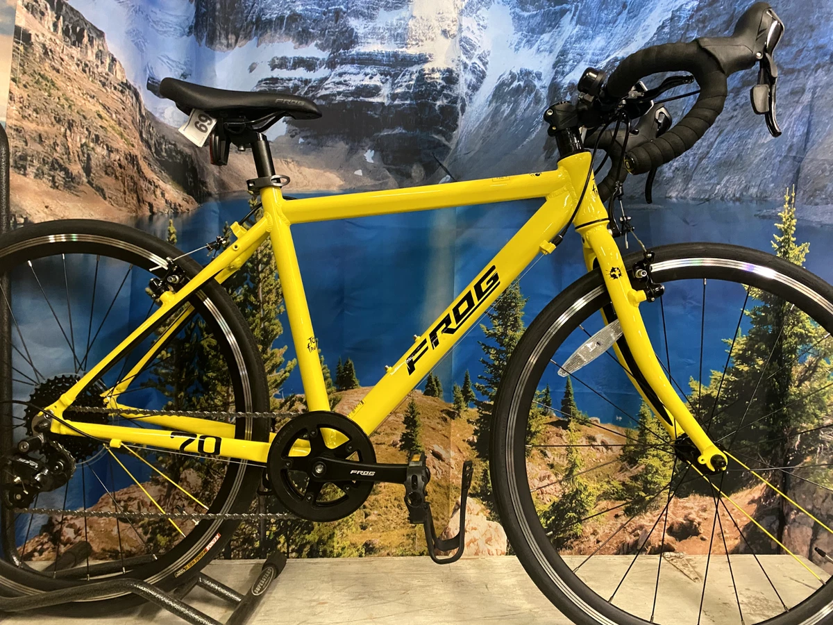 Frog road cheap bike