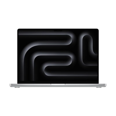Apple MacBook Pro Silber MX2T3D/A - 41cm (16''), M4 Pro 14-Core Chip, 20-Core GP