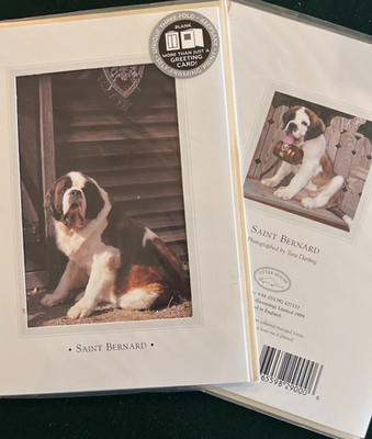 Saint Bernard Vintage Greeting Cards By Otter House Uk 1999 pack of  6