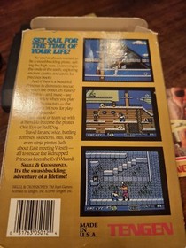Skull And Crossbones Cib Nes Nintendo