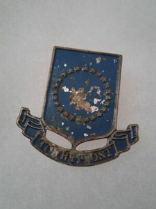 Authentic-WWII-US-Army-406th-Infantry-Regiment-Unit-DI-DUI-Crest-Insignia
