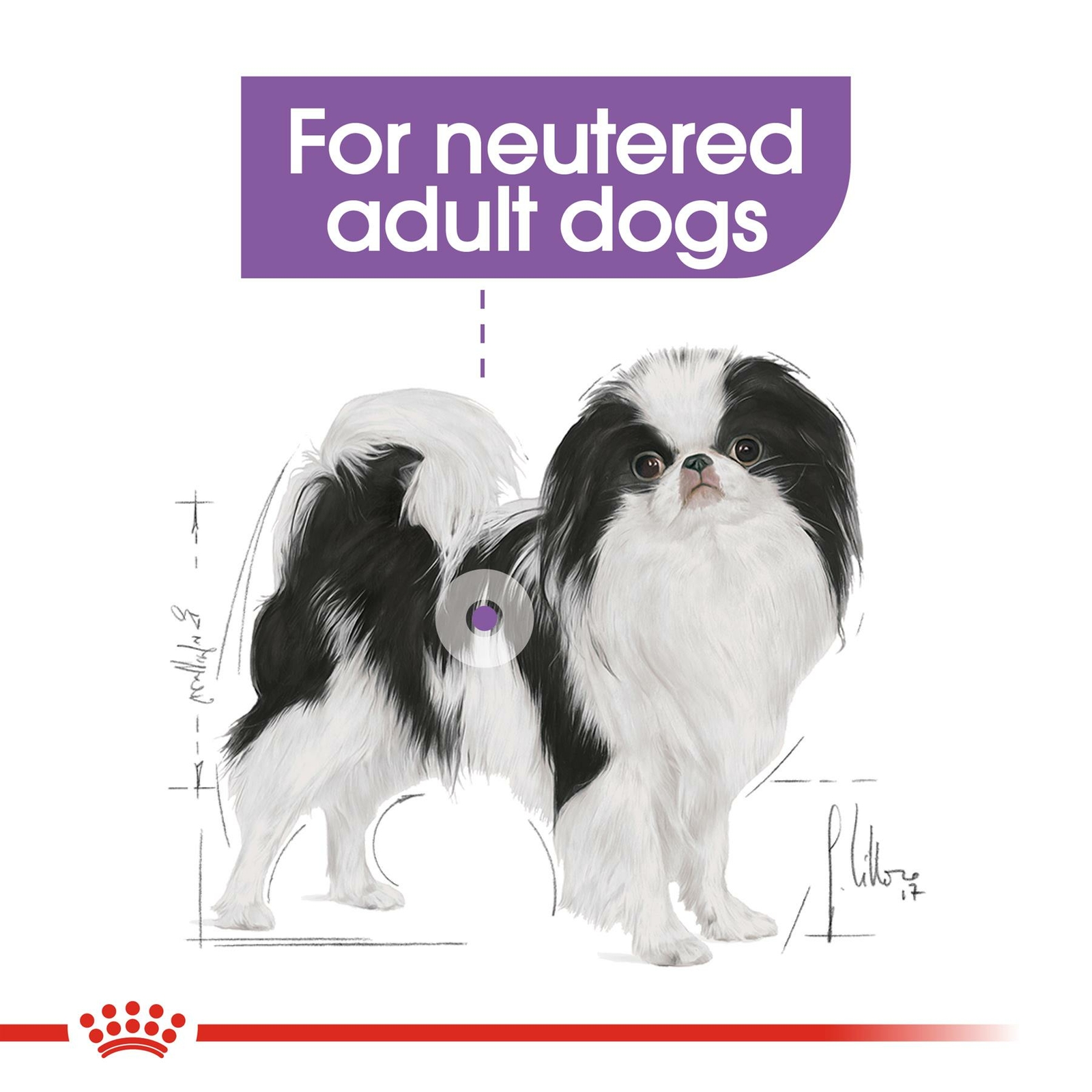 royal canin vet care nutrition neutered adult small dog