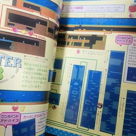 Yume Kojo Doki Doki Panic Strategy Guide Paper Nintendo Famicom Disk Syatem