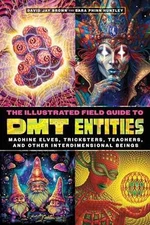 The Illustrated Field Guide to DMT - Paperback, by Brown David Jay; - Very Good