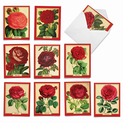 10 Assorted All Occasion Blank Note Cards with Envelopes - RETRO ROSES ...