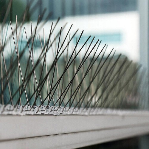 Taubenabwehr 5-35 Meter EDELSTAHL Spikes Vogelabwehr Taubenspikes Vogelschreck - Bild 9 von 23