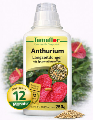 Dünger  Anthurium Flamingoblume Pflanzen  Dauerdünger wirkt 12 Monate  Profi
