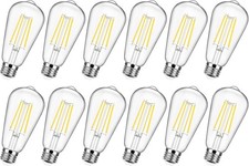 12-Pack Vintage E26 LED Edison Bulbs 100W Daylight White 12 Count Pack of 1 