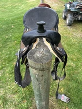 abetta saddle and headstall with bit