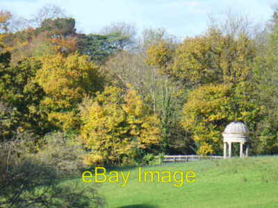 Foto 6x4 Herbst im Clandon Park East Clandon Blick vom Hauptantrieb c2007