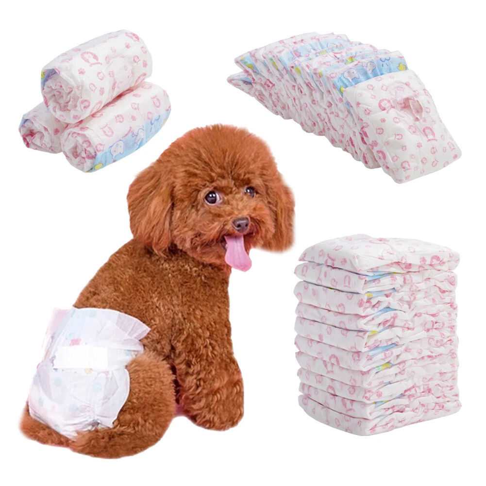 Dog nappies best sale female