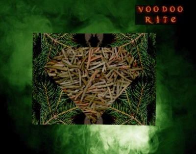 **FICHTENNADEL: 100% NATURREINES ÄTHERISCHES ÖL - BESTE QUALITÄT AUS SIBIRIEN**