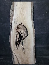 S=828_ Butternut Slab 29 1/2" X 10-12"x1 3/8" Ant Nest For Epoxy