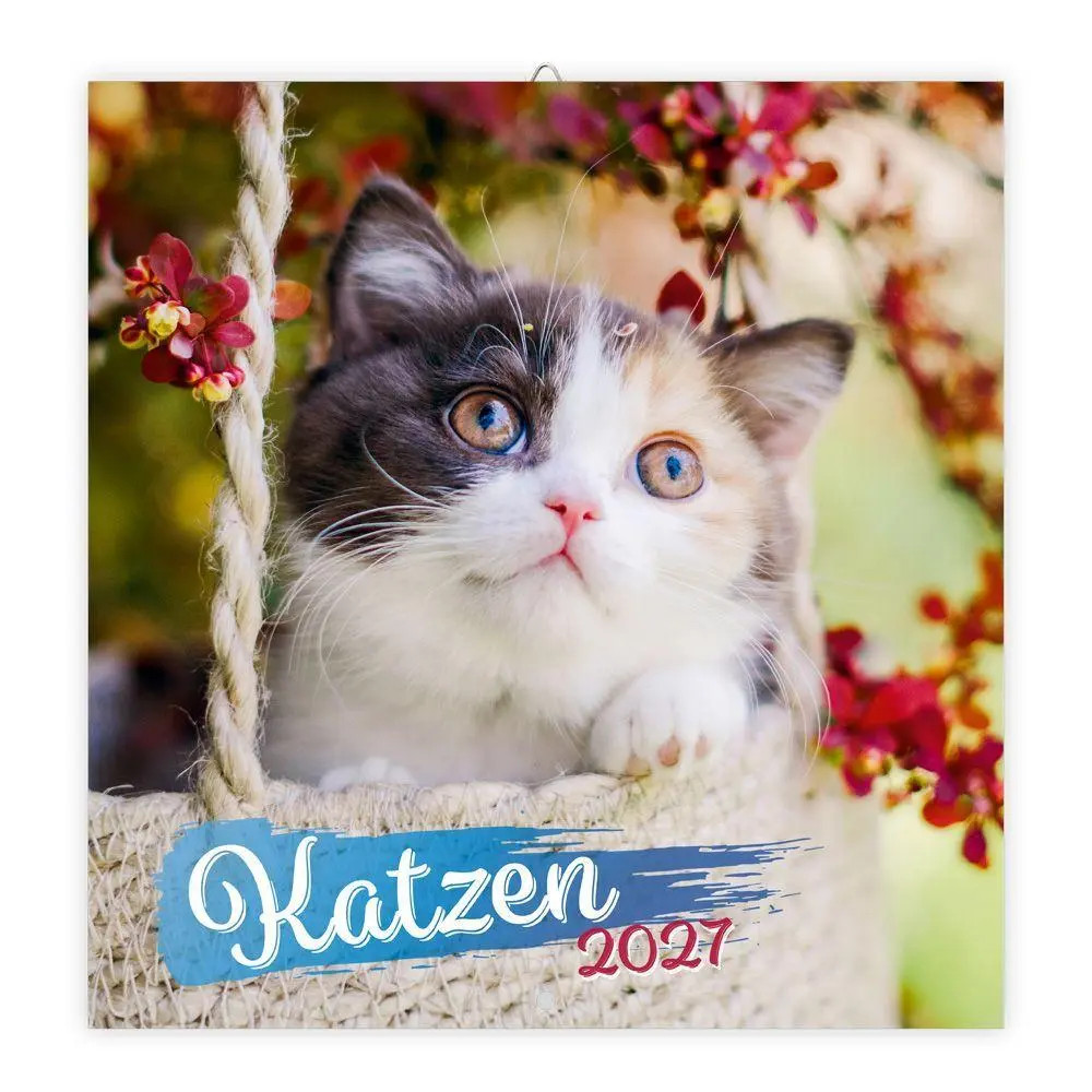 TRÖTSCH - Broschürenkalender Katzen 2027 | Wandplaner | KG | Deutsch | Kalender - Bild 7