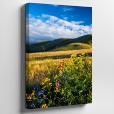 Vibrant Wildflower Meadow Bursting With Colorful Blooms In Various Wall Art