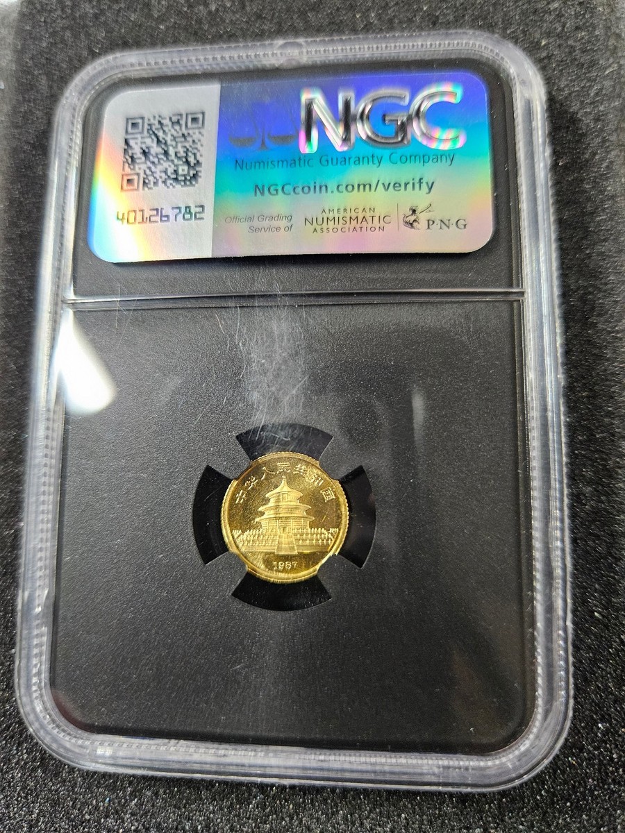 🌟 1987-S China Panda 5 Yuan 1/20 oz Gold Coin NGC MS69