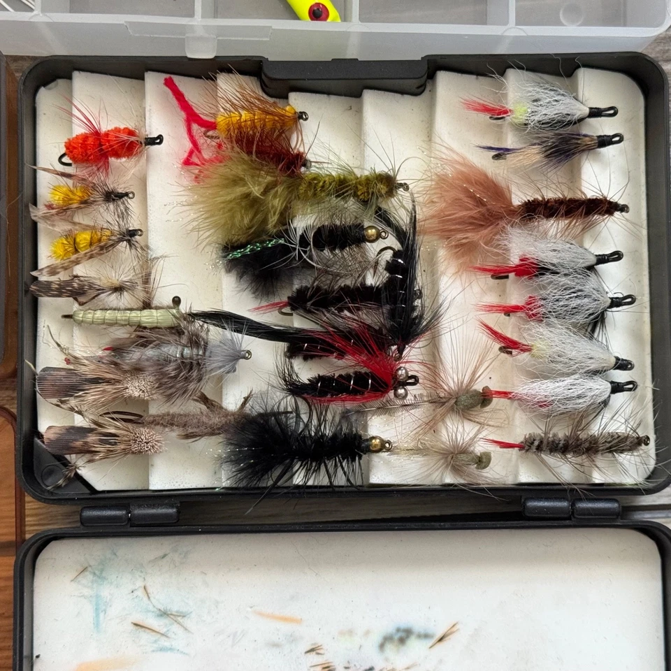 100+ señuelos de pesca con mosca con cajas Foto 2 de 4