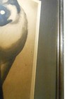 Bild 11 von 12