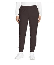 Eddie Bauer Women's Rainier Fleece Lined Jogger Pant US, Numeric, 16, Regular,