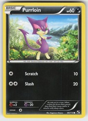 Purrloin 66/114 Black & White Base Set Common