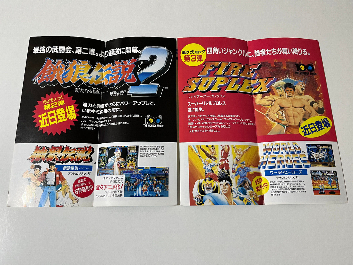 SNK Neo Geo AES Game Soft Catalog Vol.5 Japan (Ryuko no Ken Garou 