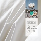 Premium Feathers Down Duvet Insert Comforter Queen All Season Medium Weight — photo 3