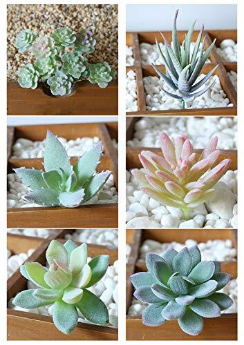 Succulente Artificiali Piante,6 PCS Mini Uncotted Echeveria Picks Faux (R5z)
