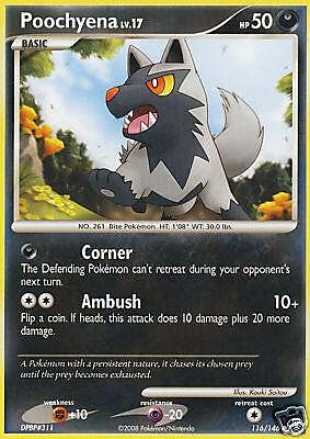 Pokemon Legends Awakened Card Poochyena 116/146