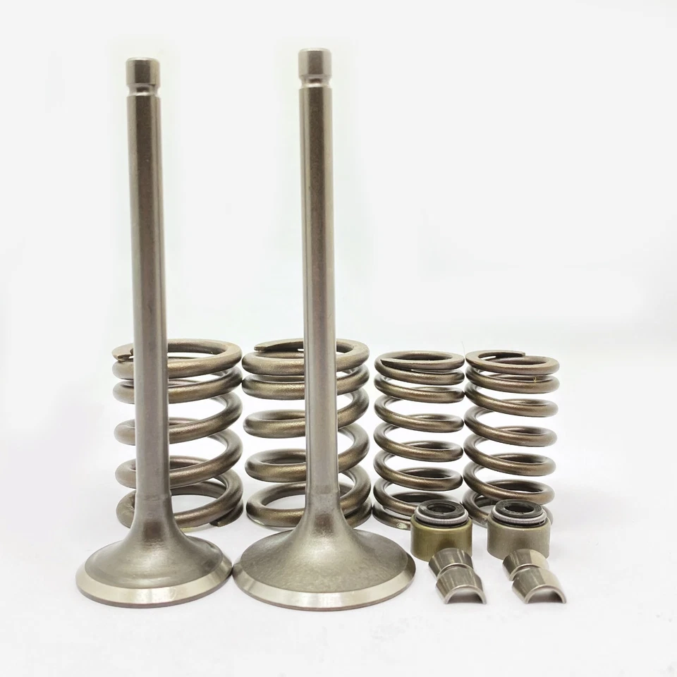 Engine Intake and Exhaust valve spring kit Yamaha SEROW XT225 1992-2004 - Изображение 4 из 4