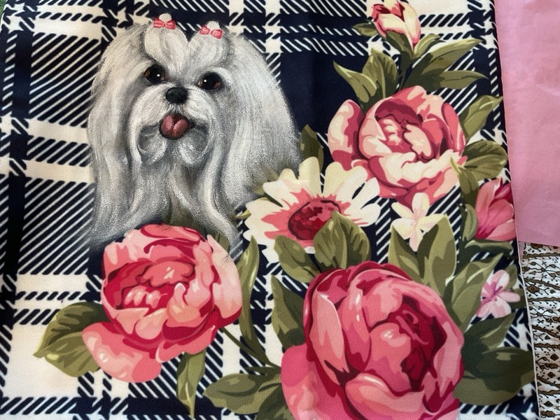 Maltese Hand Painted Pillow Case . Stunning,