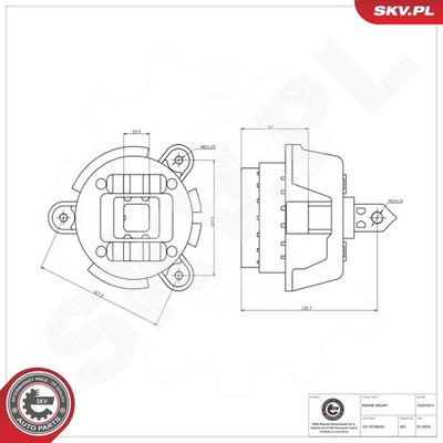 ESEN SKV 75SKV014 Lagerung, Motor für BMW