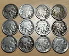 12 Buffalo Nickels 1915 1916 1917 1919 20-D 1921 23-S 1924 25-D 27-D 28-S 1929