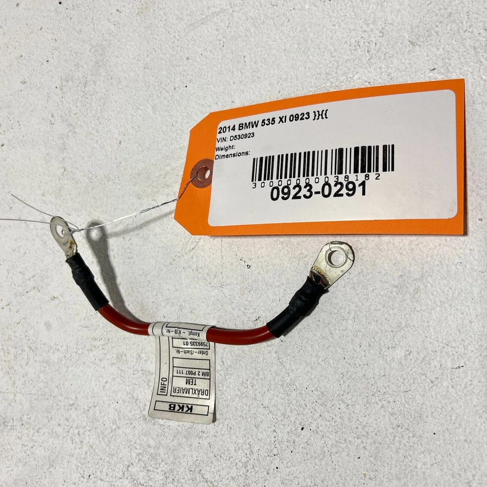 Cable adaptador módulo batería BMW 535i xDrive 2010-2016 OEM Foto 2 de 4