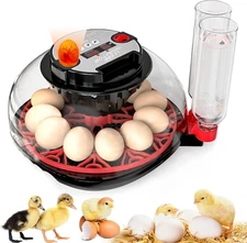 Incubator with Automatic Egg Turning and Humidity Control, Incubators for Hatchi