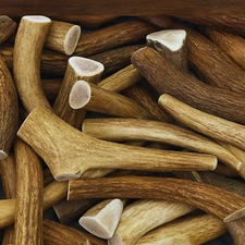 Bulk Elk Antler Dog Chews - Whole Cut -A Grade - Mixed Sizes - Sold by the Pound